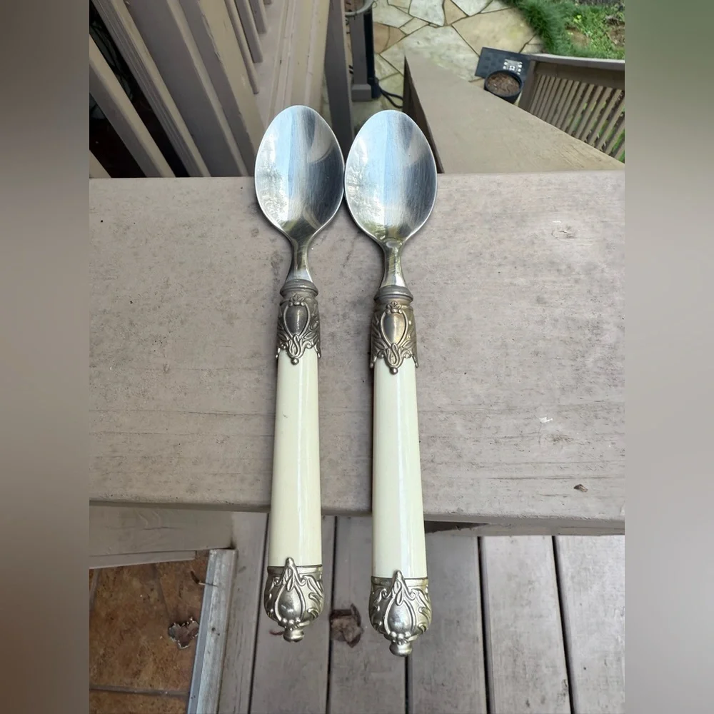 Home Essentials RENAISSANCE BONE 18/10 Stainless Silverware set of 2 spoons